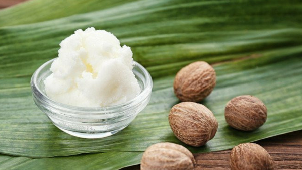 Key Ingredients: Shea & Moringa